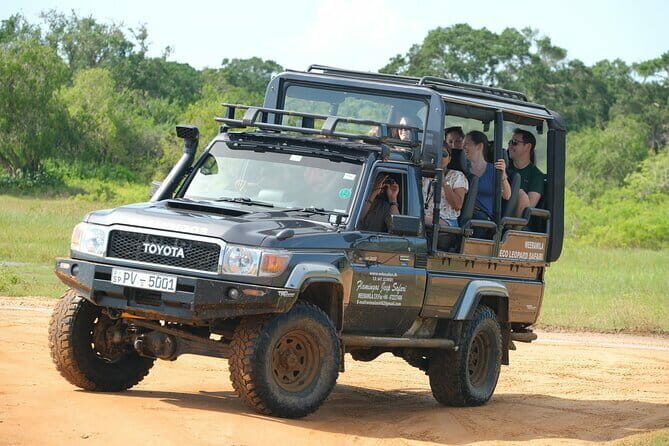 Yala National Park Safari : Special Guided Tour - Key Points