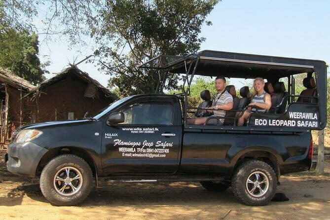 Yala National Park Safari : Special Guided Tour - The Itinerary: What to Expect on Your Safari
