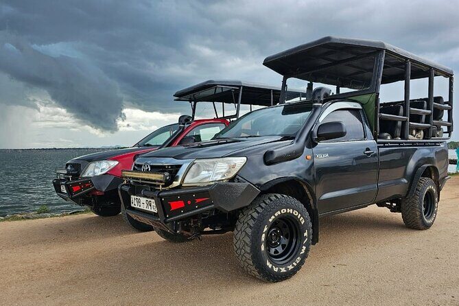Yala National Park Safari Tours - An In-Depth Look at Yala Safari Tours