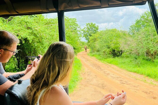 Yala National Park Safari Tours - Half Day & Full Day - Why Choose Ceylon Leopard Safari?