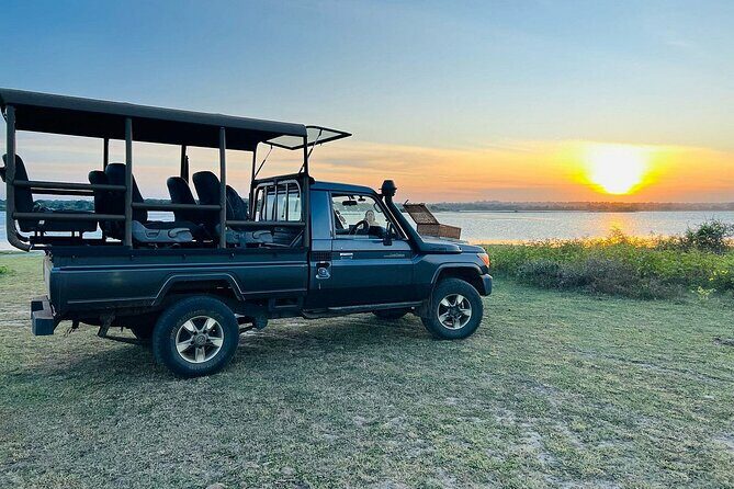 Yala National Park Safari Tours - Half Day & Full Day - Practical Tips for Travelers