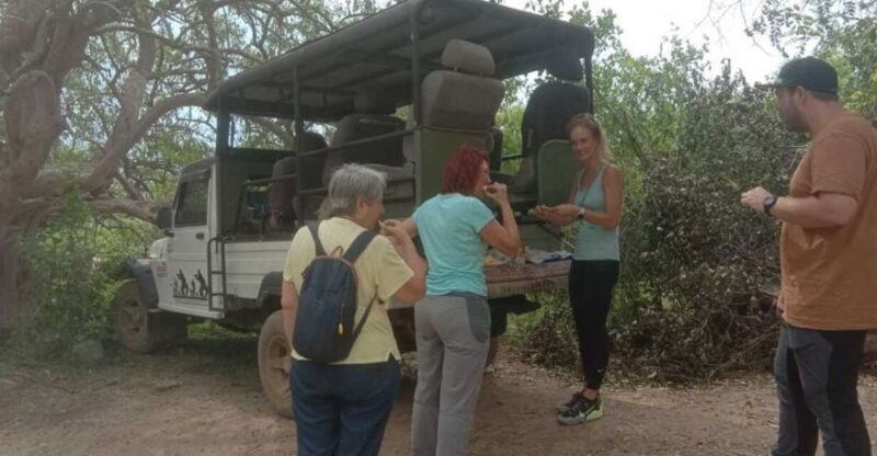 Yala National Park Sharing Safari (5 Hours) - Pickup and Logistics