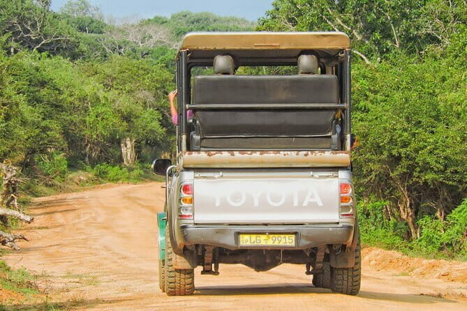Yala National Park special Half-Day & Full-Day Safari Adventure - The Sum Up