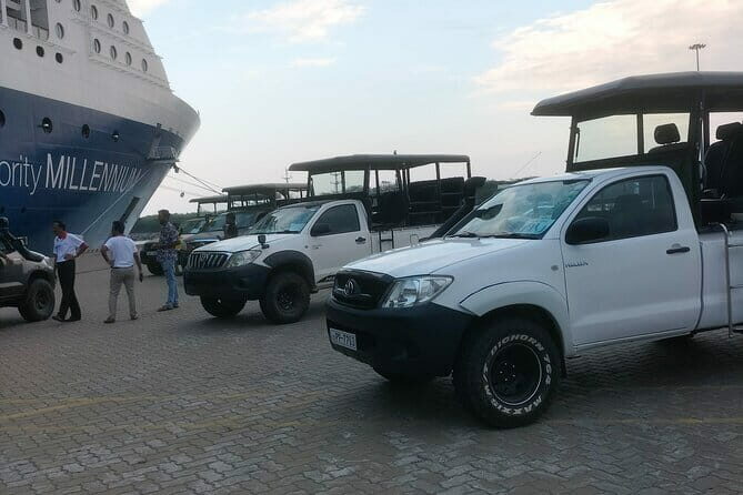 Yala National Park Tour From Hambantota Port - An Introduction to Yala Safari from Hambantota