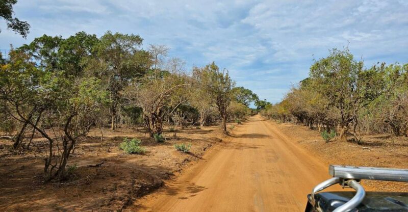 Yala National Park Wildlife Safari From Bentota - Transportation and Pickup