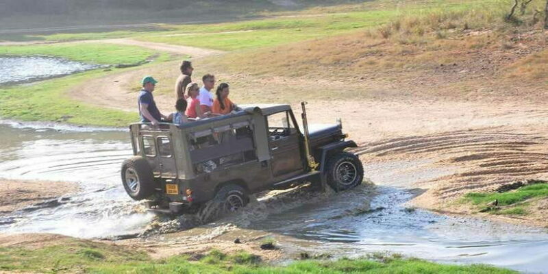 Yala Private Safari: Half-Day or Full-Day with Picnic Lunch - Introduction: Why Consider a Private Safari at Yala?