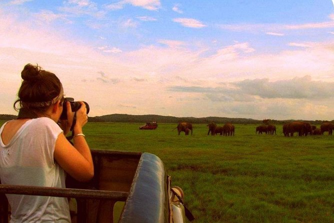 Yala Safari (3 Days, 2 Nights) - Tour Overview