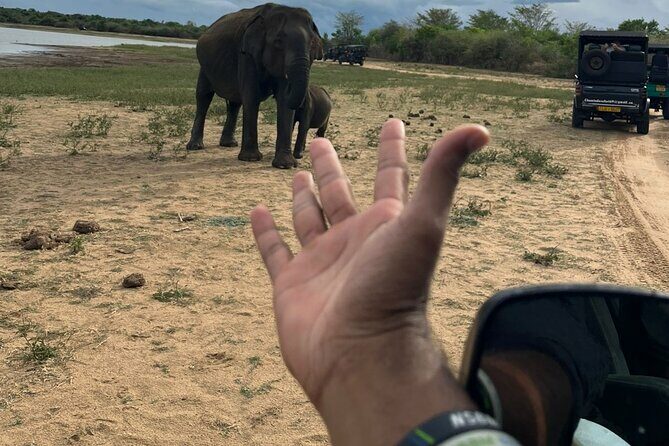 Yala Safari Day Tour - Key Points