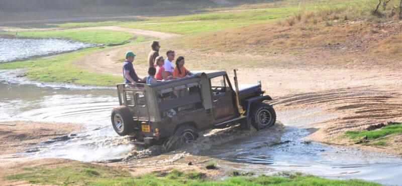 Yala Safari (Private) From Yala & Tissamaharama Area. - Safari Experience