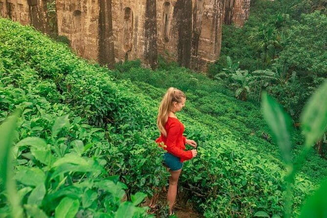 YALA SAFARI TOUR from Galle/Mirissa/Matara/Tangalle/Ella & More.. - Is This Tour Worth It?