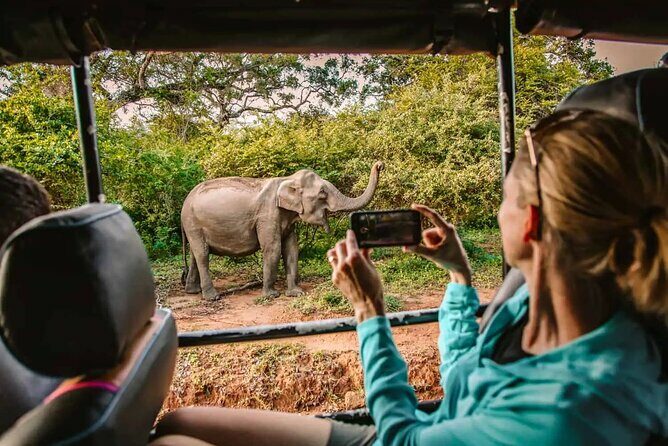 Yala Safari Tour from Hambantota Port by Ajith Safaris - Key Points