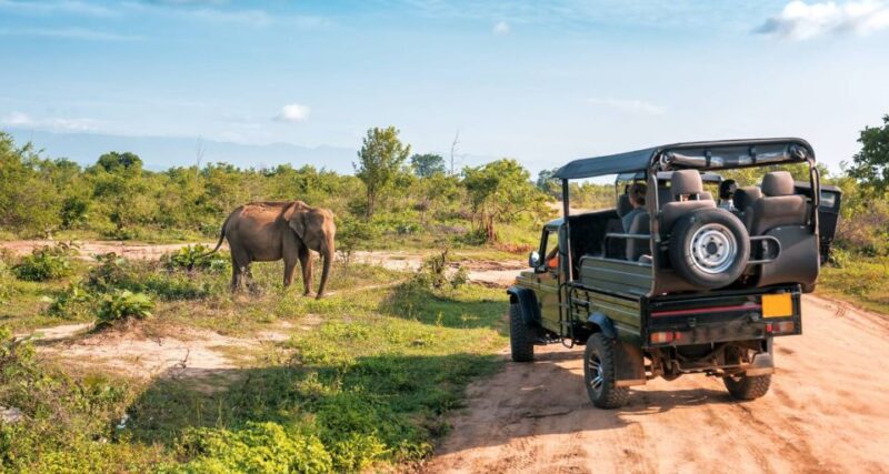 Yala Safari Tours: Yala Private Safari, All Inclusive - Safari Structure