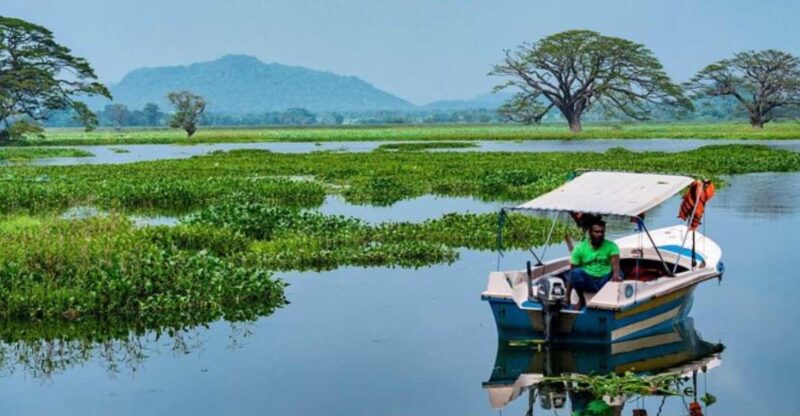 Yala: Sunset Tour by Boat & Beach BBQ Dinner! - Key Points