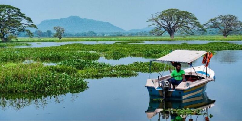 Yala: Sunset Tour by Boat & Beach BBQ Dinner! - Booking Information