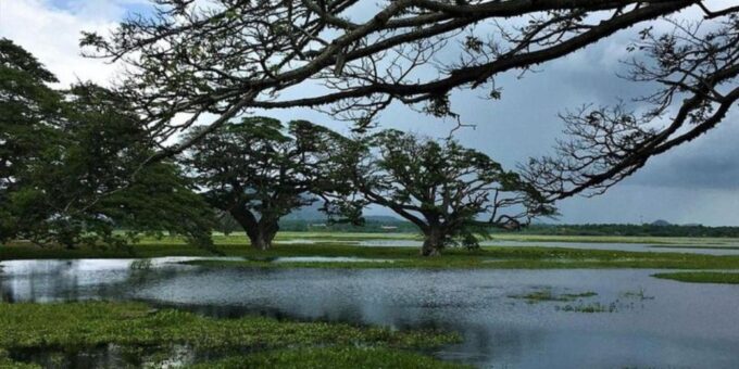Yala: Sunset Tour by Boat & Beach BBQ Dinner! - Frequently Asked Questions