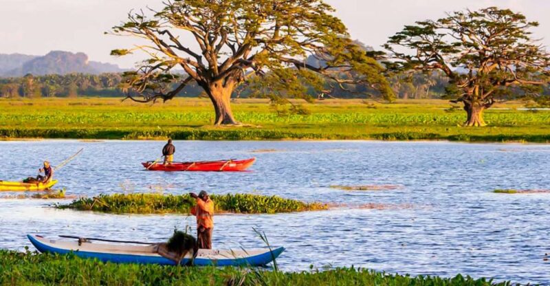 Yala: Sunset Tour by Boat & Beach BBQ Dinner - Activity Highlights