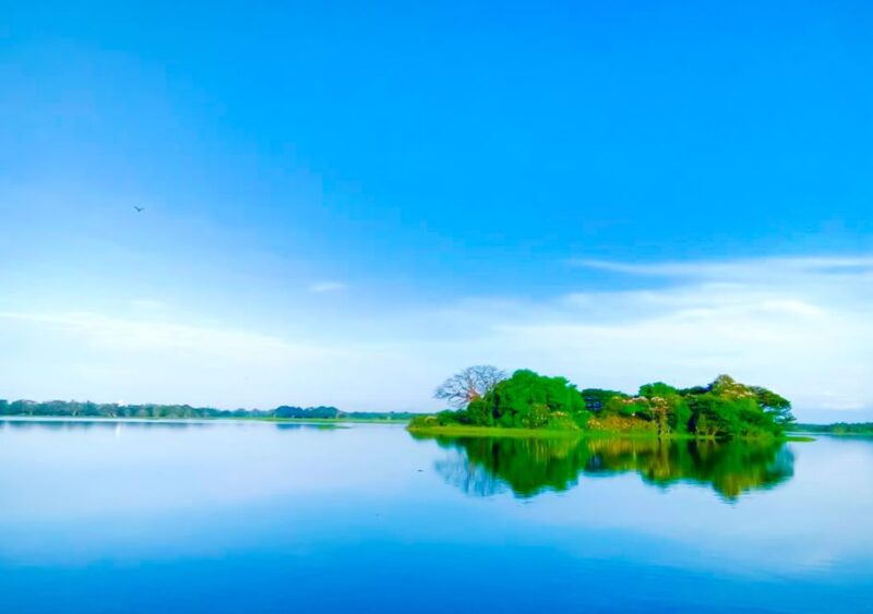 Yala: Sunset Tour by Boat & Beach BBQ Dinner - Language and Guide