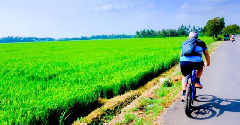 Yala: Village Cycling Tour - Experience Highlights