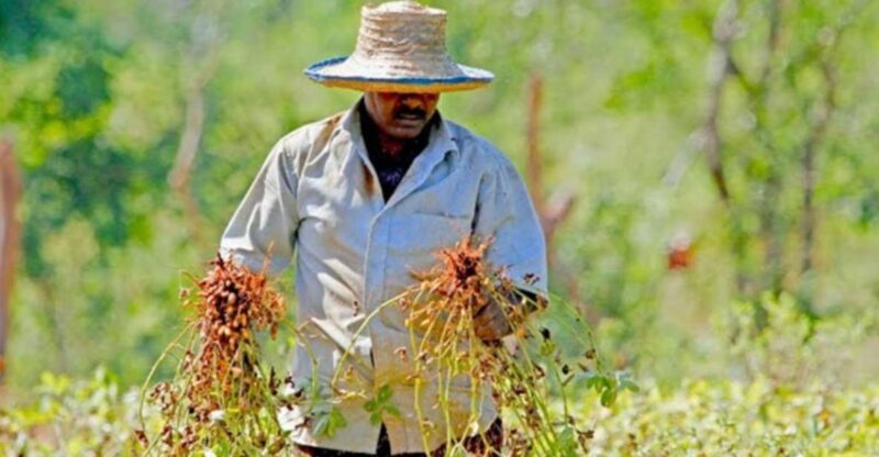 Yala: Village Life Exploration Tour! - Key Points