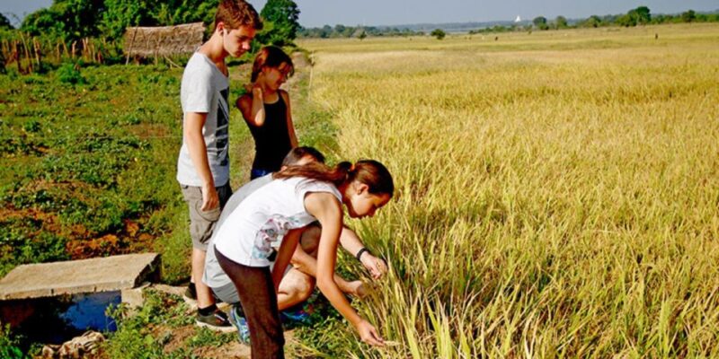 Yala: Village Life Exploration Tour! - Booking Information