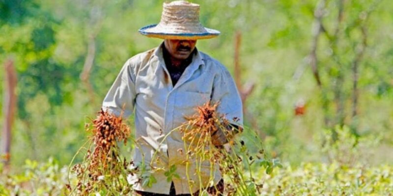 Yala: Village Life Exploration Tour! - Itinerary Highlights