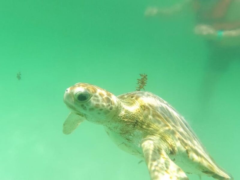 Yalku :Akumal Snorkeling Muuch Kay Ecopark - Location and Environment