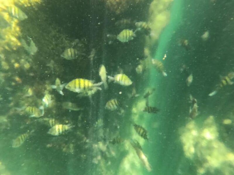 Yalku :Akumal Snorkeling Muuch Kay Ecopark - Ecological Amenities