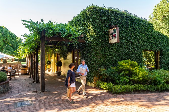 Yalumba Signature Tour - Getting to the Meeting Point