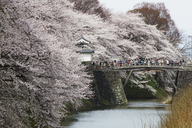 Yamagata / Yamadera 6hr Private Trip With Licensed Guide - Guide Qualifications
