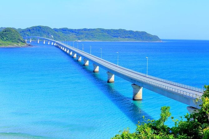 Yamaguchi Akiyoshido Cave and Shrine Day Tour From Fukuoka - Tour Experience