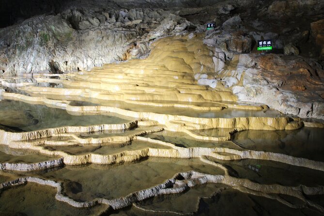 Yamaguchis 4spectacular&Karato Market of Day Tour From Fukuoka - Private Transportation and Pickup Information
