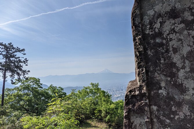 Yamanashi Beyond Mt.Fuji - Availability