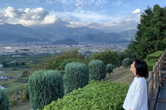 Yamanashi Koshu Winery Private Tour With Licensed Guide & Vehicle - Pickup and Meeting Details