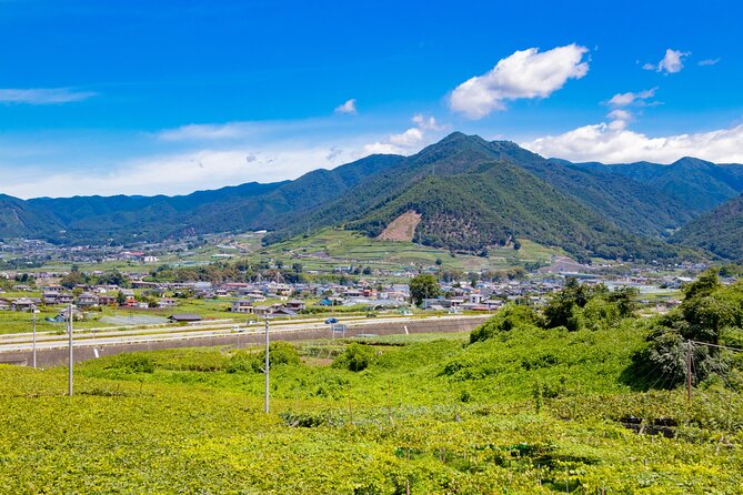 Yamanashi Koshu Winery Private Tour With Licensed Guide & Vehicle - Yamanashi Prefecture and Region