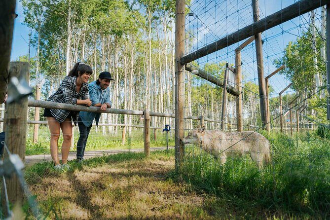 Yamnuska Wolfdog Sanctuary Walk Ticket in Canada - Practical Details and Tips for Visitors