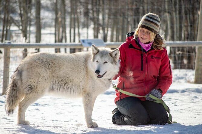 Yamnuska Wolfdog Sanctuary Walk Ticket in Canada - Final Thoughts
