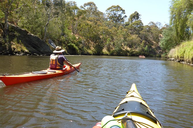 Yarra River Kayak Hire - Pricing and Booking