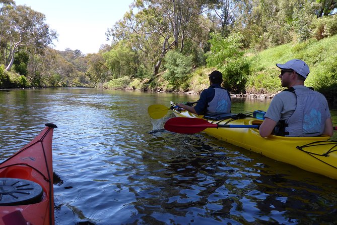 Yarra River Kayak Hire - Customer Reviews