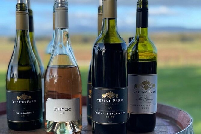 Yarra Valley Afternoon Chandon, Chocolates, Cheese & Kangaroos - Food Tastings