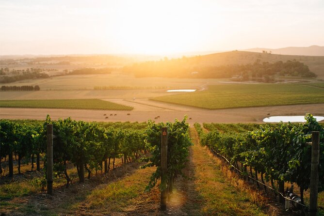 Yarra Valley Afternoon Winery Tour - Half Day From Melbourne - Bottomless Brunch Experience