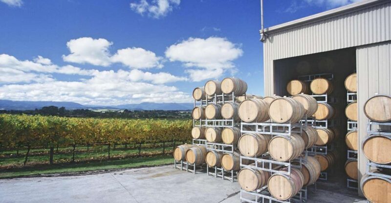 Yarra Valley and Dandneong Ranges: Scenic Bus Tour and Lunch - Key Points