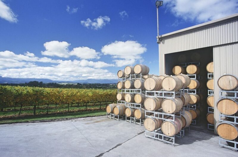 Yarra Valley and Dandneong Ranges: Scenic Bus Tour and Lunch - Tour Highlights