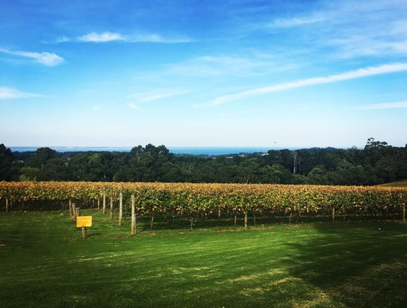 Yarra Valley and Dandneong Ranges: Scenic Bus Tour and Lunch - Tour Inclusions