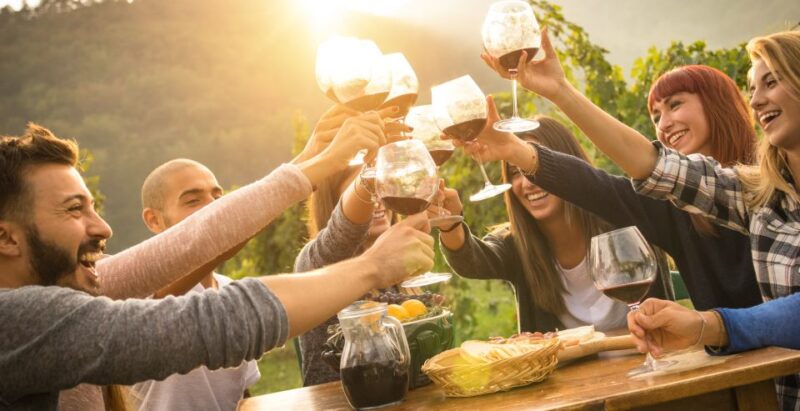 Yarra Valley and Dandneong Ranges: Scenic Bus Tour and Lunch - Important Information