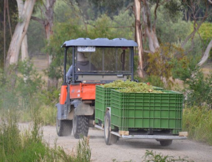 Yarra Valley: Bus Wine Tour With Lunch and a Glass of Wine - Winery Visits