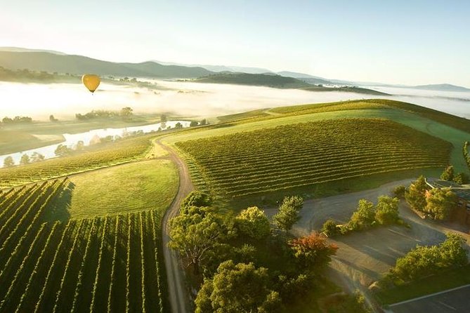 Yarra Valley Day Trip With Local Wine Tastings From Melbourne - Expert Guides and Recommendations