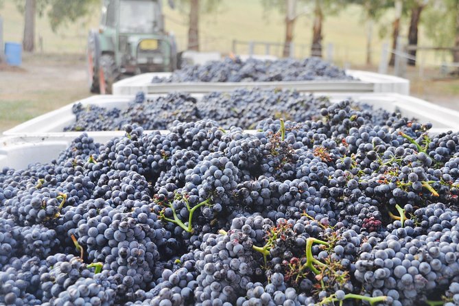 Yarra Valley Exceptional - Private Day Tour - for 2 - With Lunch - Customer Reviews