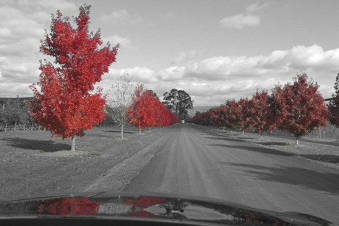 Yarra Valley Exceptional - Private Day Tour - for 2 - With Lunch - Explore Yarra Valley