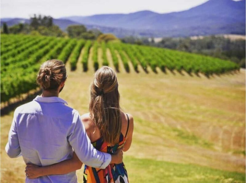 Yarra Valley Foodies Tour with Chandon and Kangaroo Safari! - Who Should Consider This Tour?