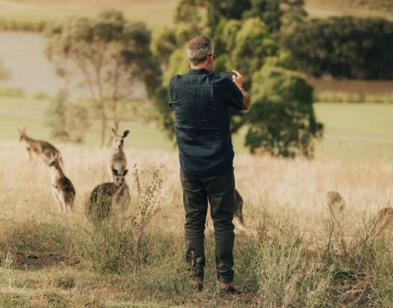 Yarra Valley Foodies Tour with Chandon and Kangaroo Safari! - Final Thoughts